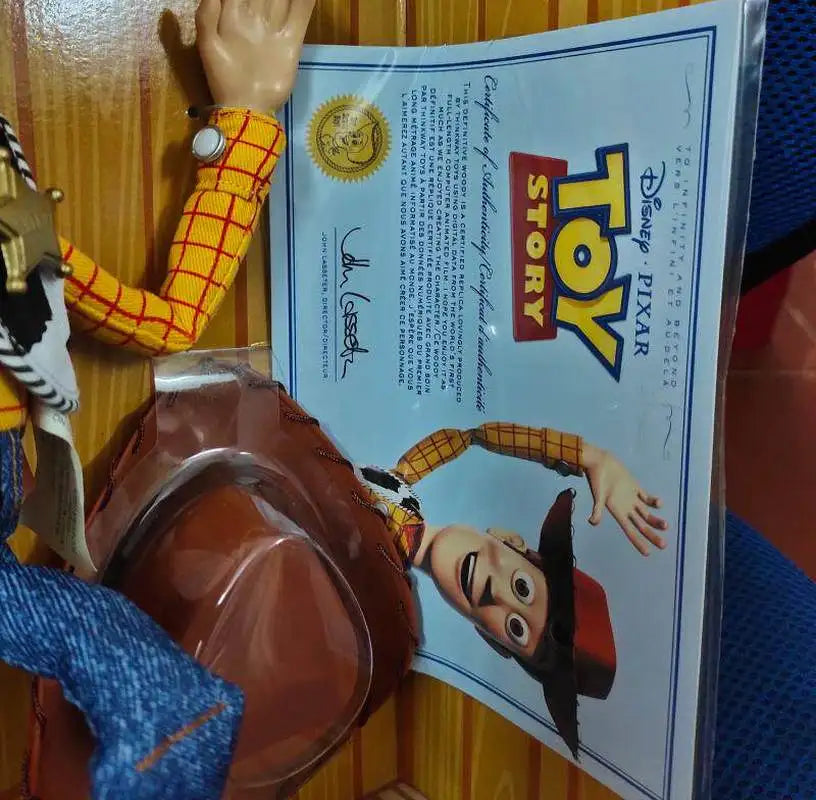 Woody-Figur – Sammlerausgabe Talking Woody's Roundup, Originalbox